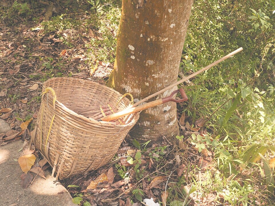 Opruimroutines: dagelijks, wekelijks, maandelijks