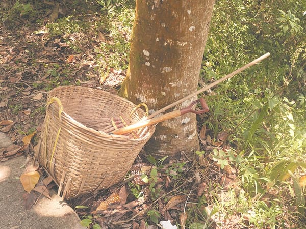 Opruimroutines: dagelijks, wekelijks, maandelijks